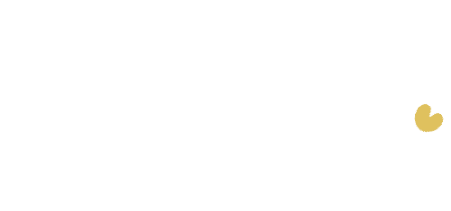 Logo Webshopfrl - webshop marketing